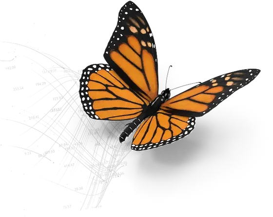 Monarch