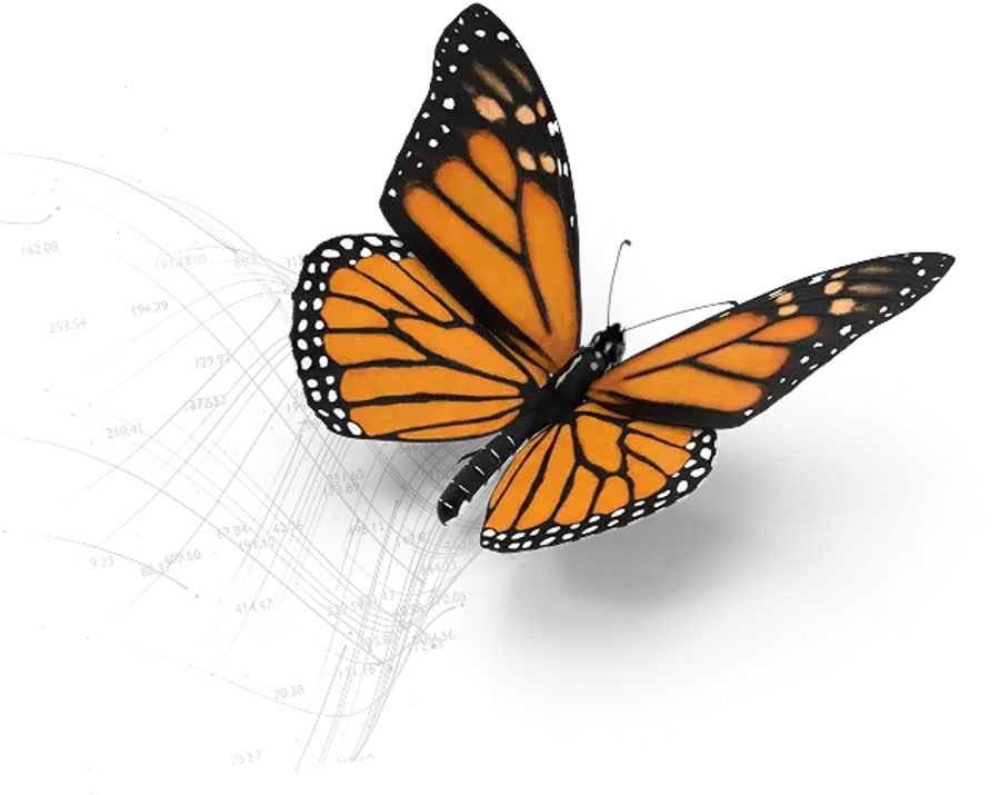 Monarch — provider data migration